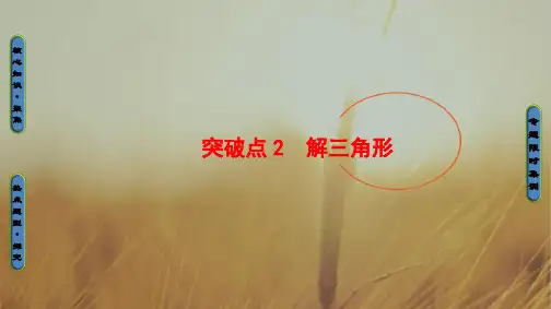 2018高考数学浙江专版二轮复习与策略课件 专题2 解三角形 精品