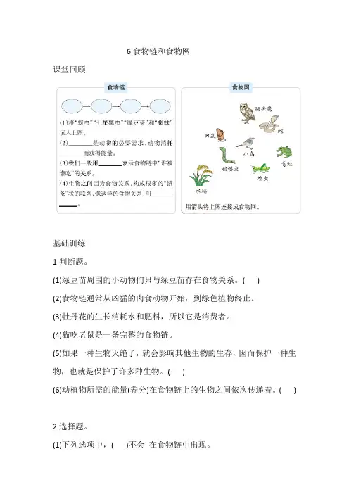 2023年最新16：食物链和食物网(含答案)