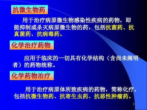抗微生物药物概论PPT幻灯片