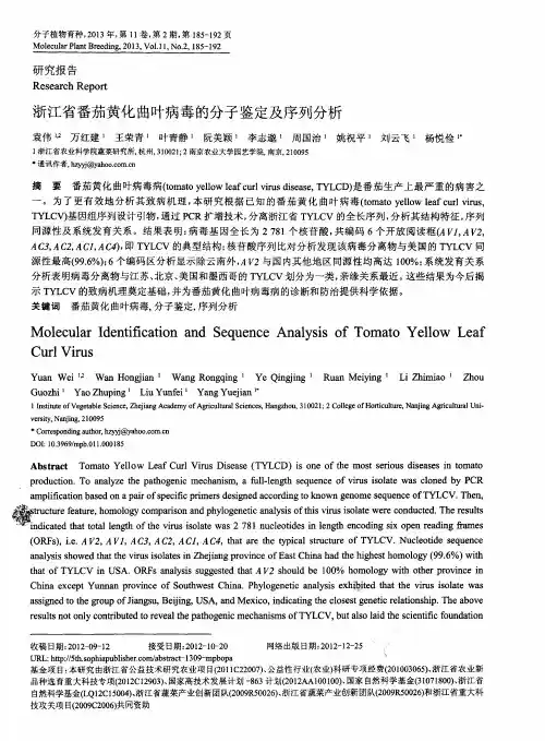 浙江省番茄黄化曲叶病毒的分子鉴定及序列分析