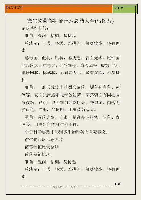 微生物菌落特征形态总结大全（带图片）