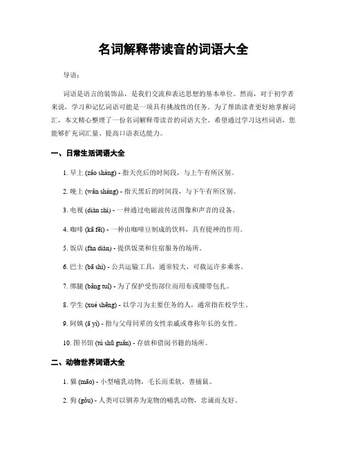 名词解释带读音的词语大全
