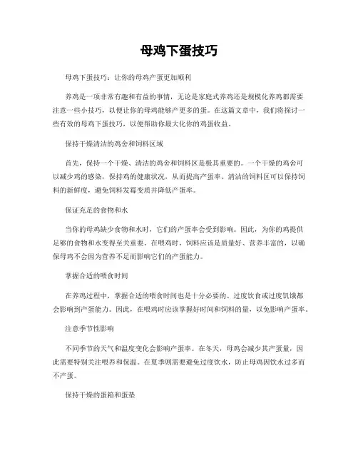 母鸡下蛋技巧