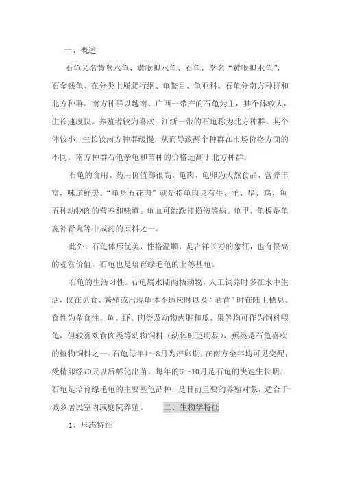 龟