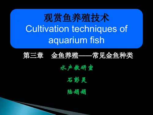 第三章1 金鱼品种