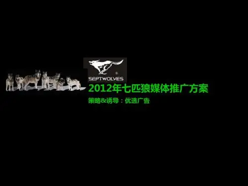 七匹狼年度营销推广方案