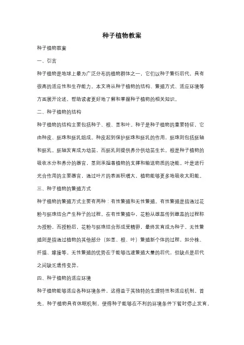 种子植物教案