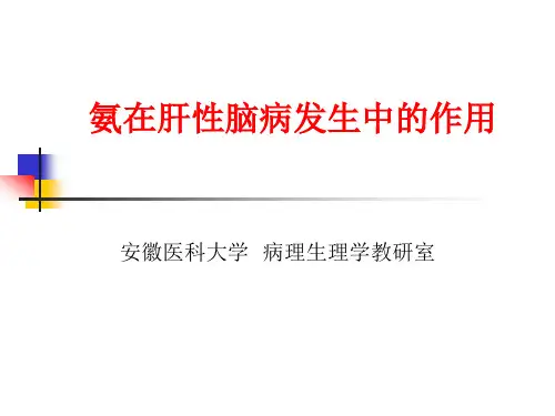 氨在肝性脑病发生中的作用