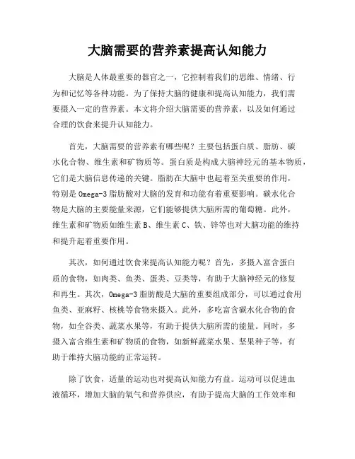 大脑需要的营养素提高认知能力