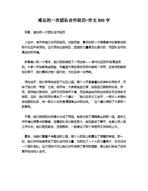 难忘的一次团队合作经历-作文800字