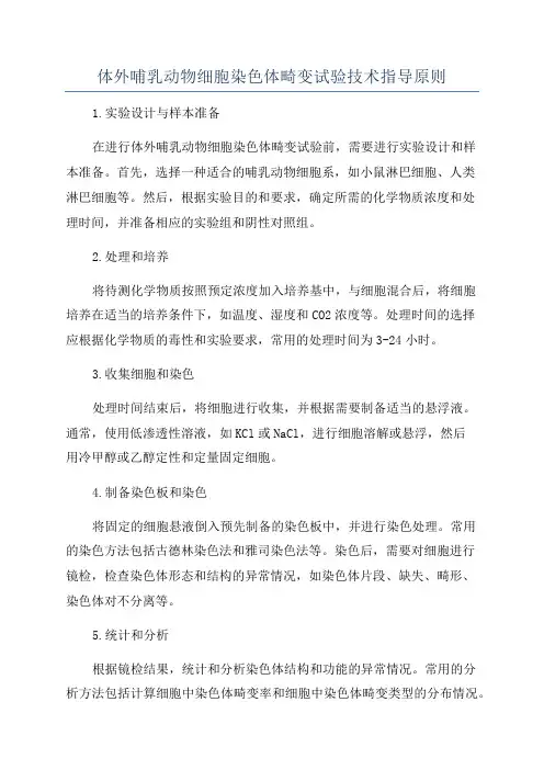 体外哺乳动物细胞染色体畸变试验技术指导原则