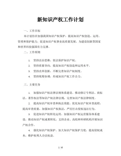新知识产权工作计划