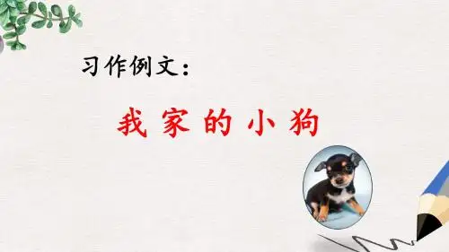 小学教育-人教部编版小学语文三年级上册：习作例文：我家的小狗(精品课PPT课件)-名师课堂