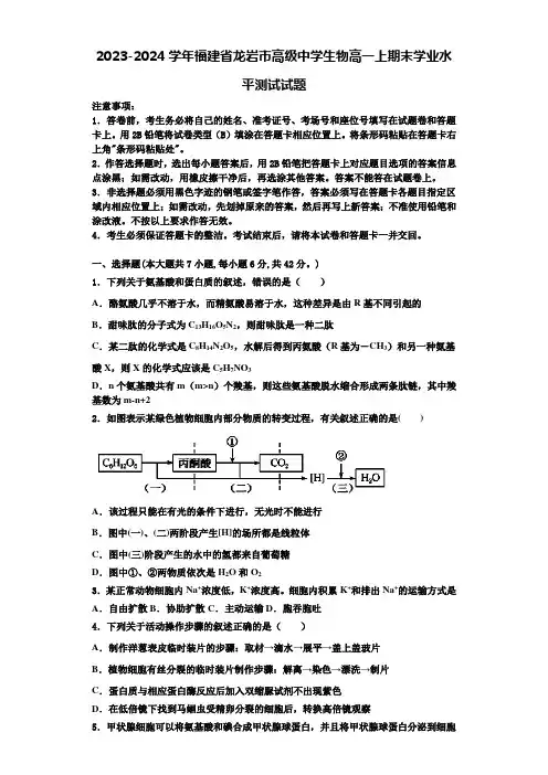 2023-2024学年福建省龙岩市高级中学生物高一上期末学业水平测试试题含解析
