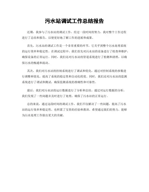 污水站调试工作总结报告