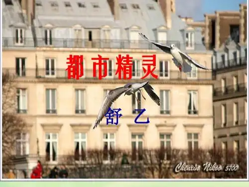 《都市精灵》课件2