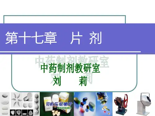 《湿法制粒压片法》课件