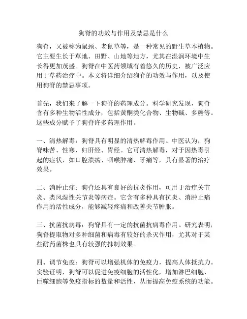 狗脊的功效与作用及禁忌是什么