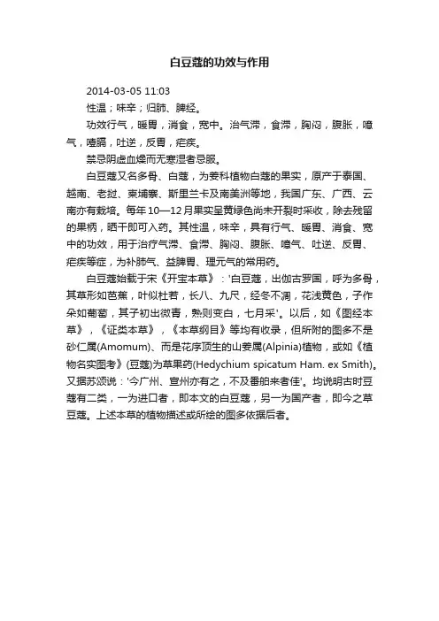 白豆蔻的功效与作用