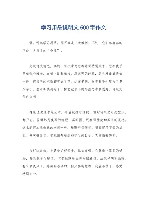 学习用品说明文600字作文