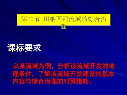美国田纳西河流域的治理ppt1 人教课标版