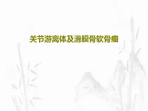 关节游离体及滑膜骨软骨瘤33页PPT