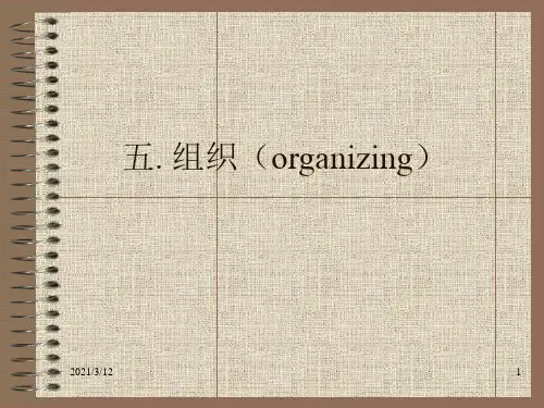 管理学组织PPT课件