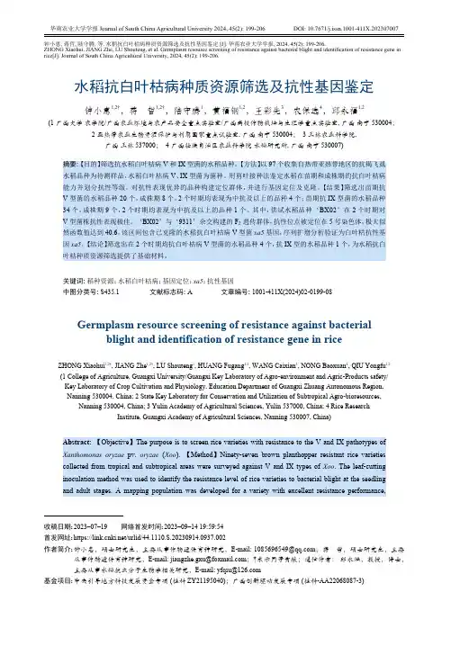 水稻抗白叶枯病种质资源筛选及抗性基因鉴定