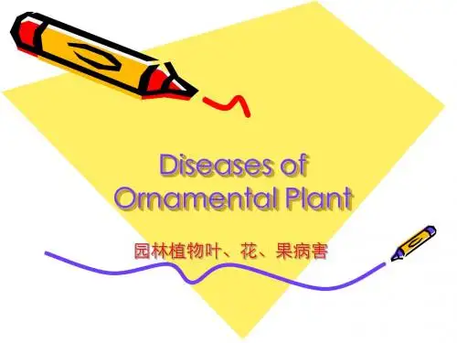 园林植物叶、花、果病害