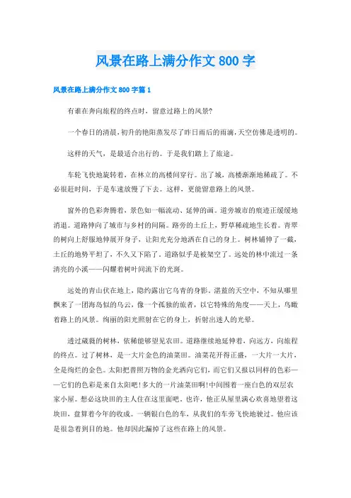 风景在路上满分作文800字