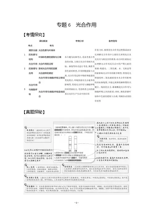 2021高考生物江苏一轮复习精炼：专题6 光合作用