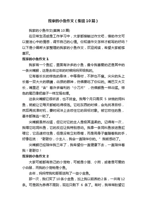 我家的小鱼作文（集锦10篇）