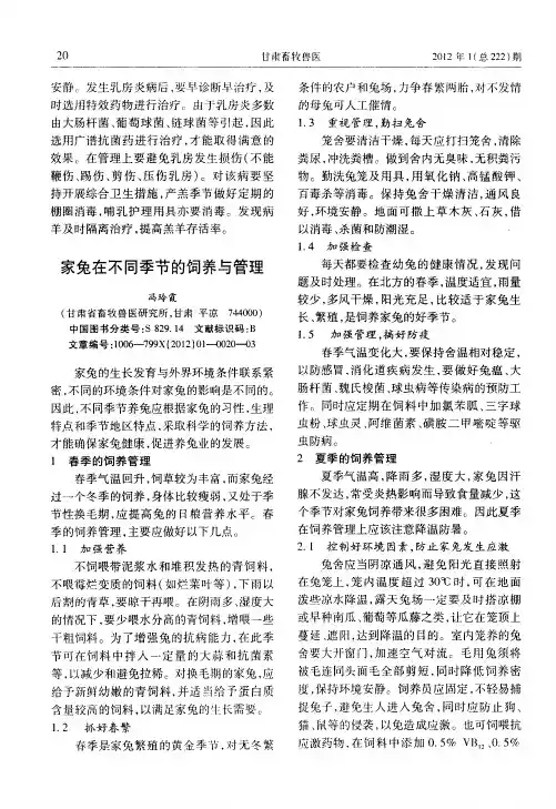 家兔在不同季节的饲养与管理