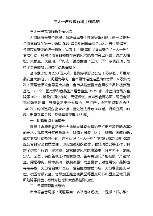 三大一严专项行动工作总结