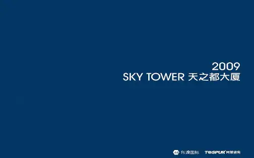 房地产南京天之都营销策划提报 