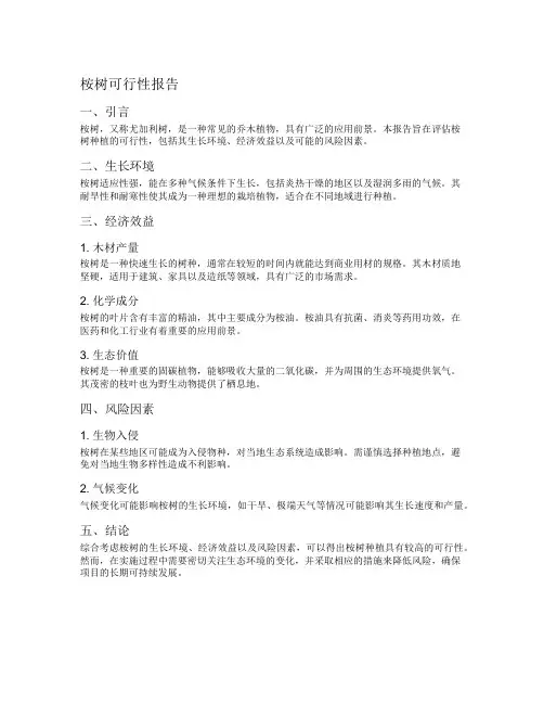桉树可行性报告