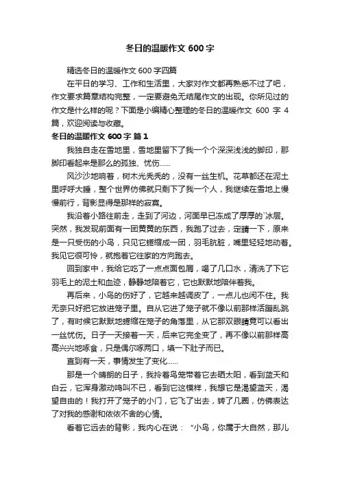 冬日的温暖作文600字