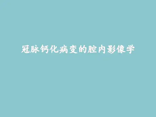冠脉钙化病变的腔内影像学研究学习课件