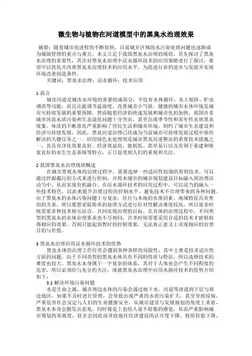微生物与植物在河道模型中的黑臭水治理效果