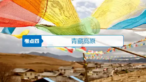 高二下学期区域地理复习 课件-青藏地区