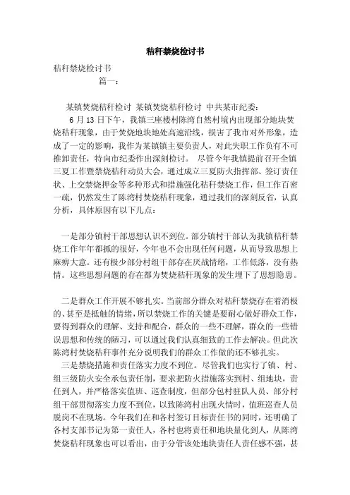 秸秆禁烧检讨书（范文）