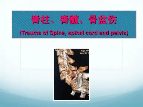 脊柱、脊髓、骨盆伤 (Trauma of Spine, spinal cord and pelvis)