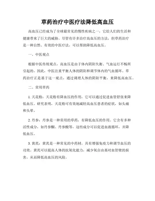 草药治疗中医疗法降低高血压