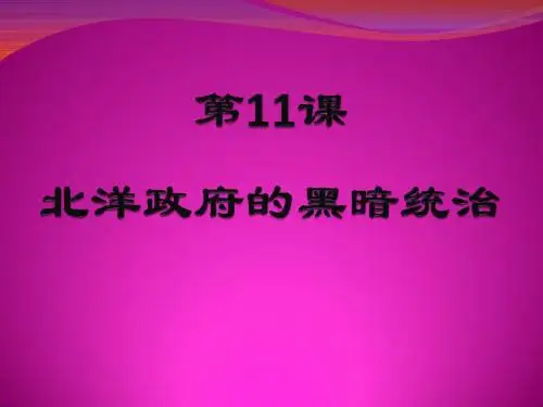 第11课北洋政府的黑暗统治