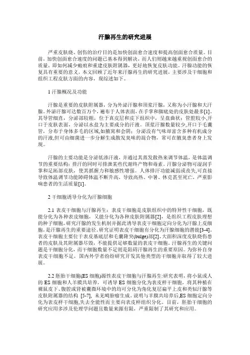 汗腺再生的研究进展