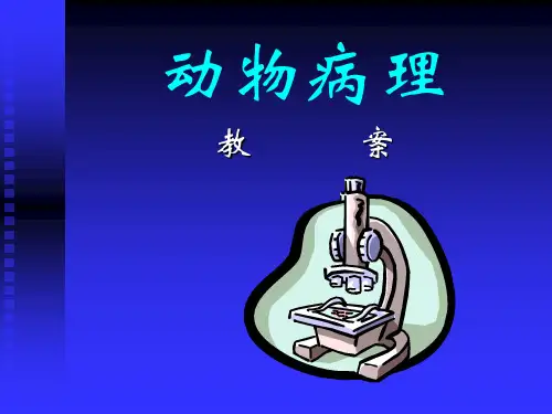 动物病理教案.pptx