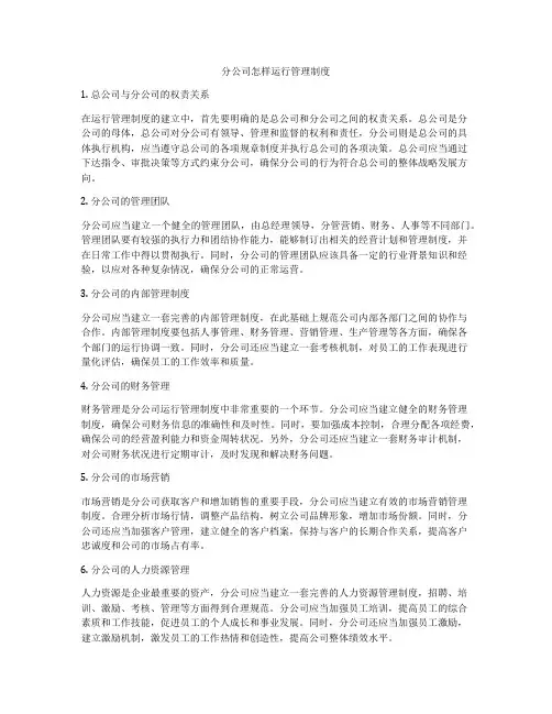 分公司怎样运行管理制度