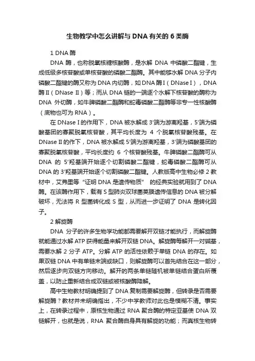 生物教学中怎么讲解与DNA有关的6类酶
