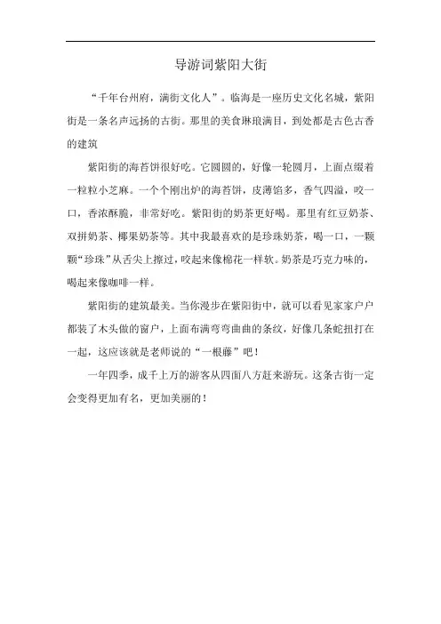 导游词紫阳大街