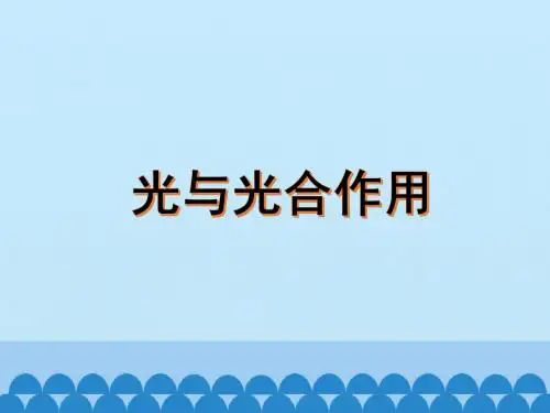 《光合作用的原理和过程》捕获光能的色素和结构_课件1